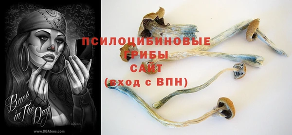 дмт Белоозёрский