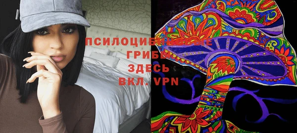 Альфа ПВП Белокуриха