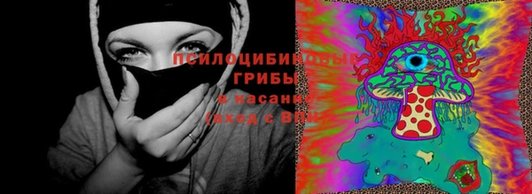 Альфа ПВП Белокуриха