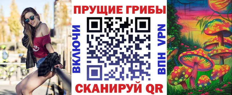 Галлюциногенные грибы Cubensis  Геленджик 
